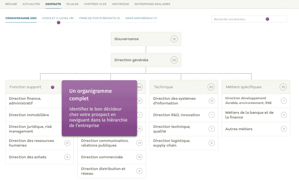 L'organigramme détaillé d'un compte dans Nomination