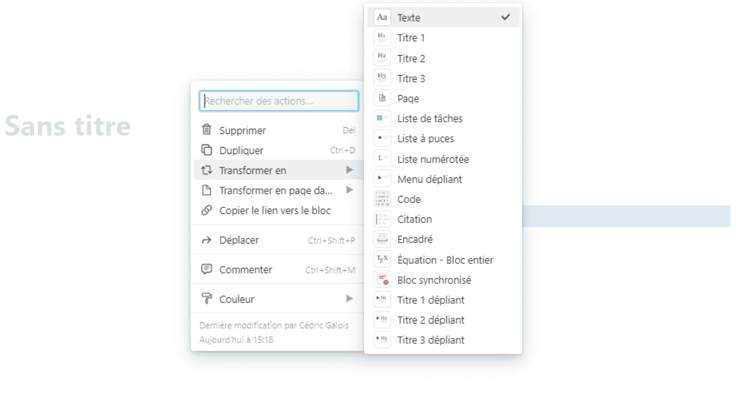 Les options de style d'un bloc Notion