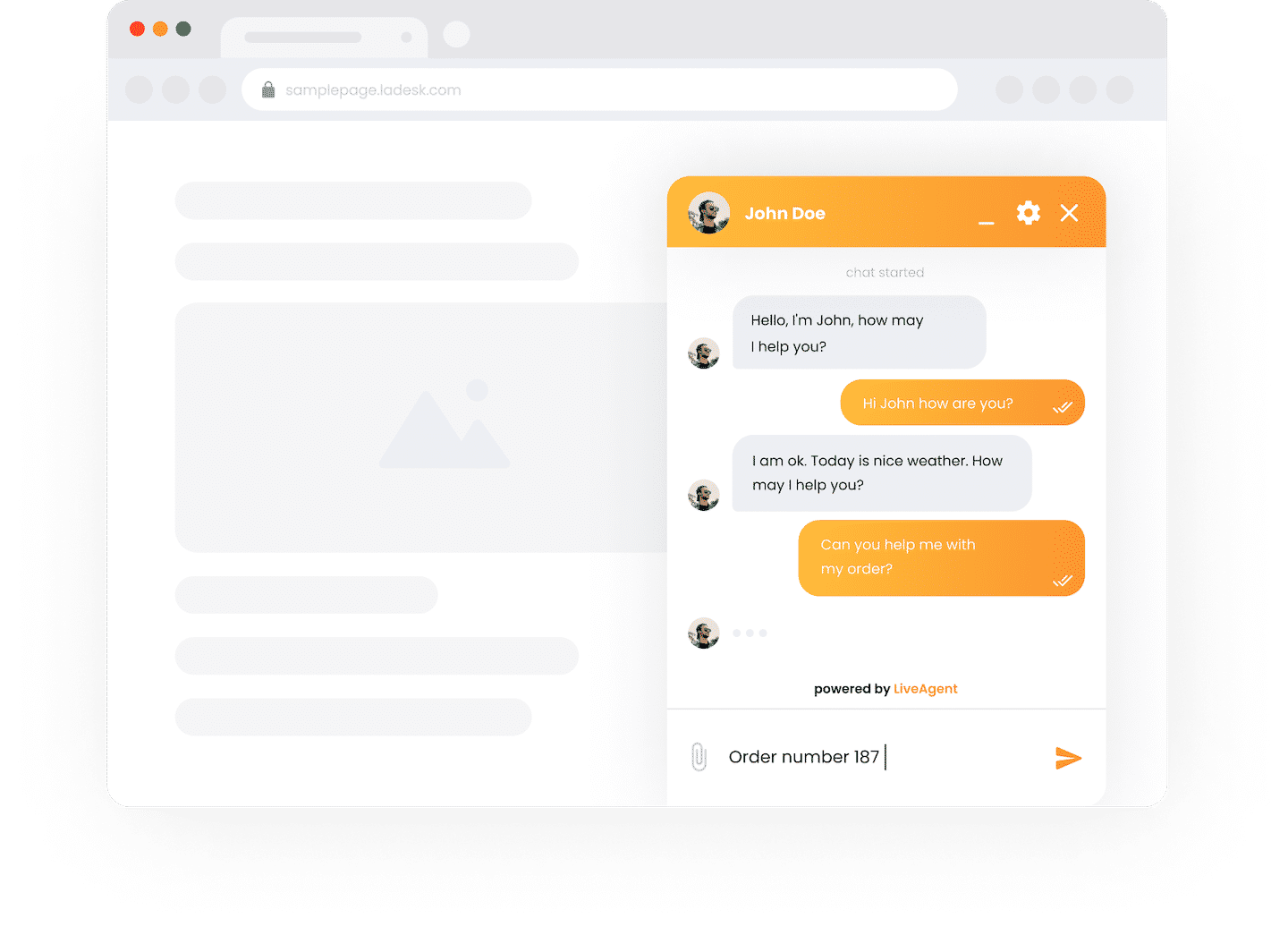 Vue client dans l'interface de LiveAgent