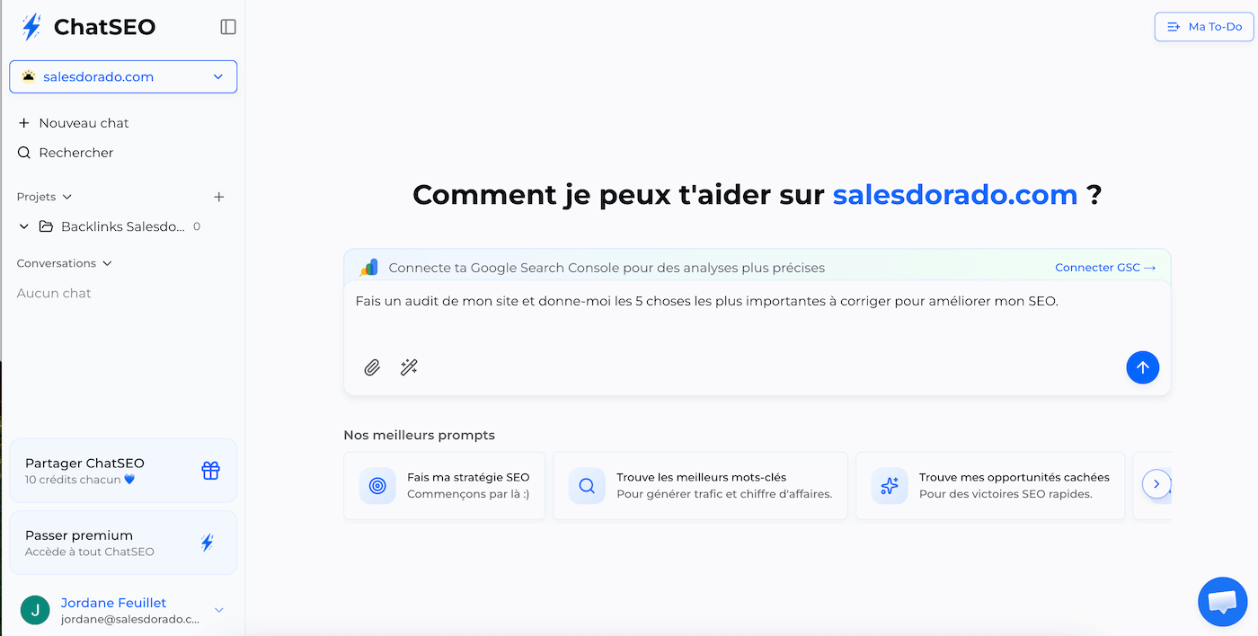 L'interface conversationnelle de ChatSEO