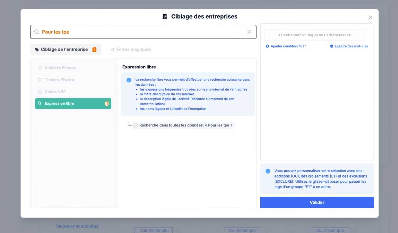 La recherche par expression libre dans le ciblage des entreprises de Pharow