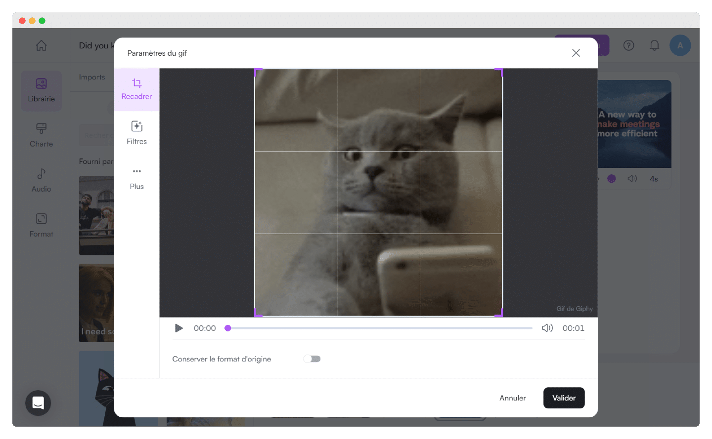 Application de filtres sur un GIF dans PlayPlay