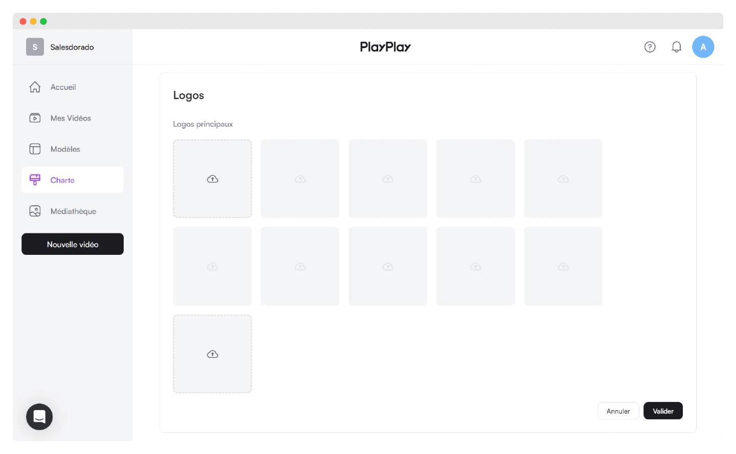 Gestion des logos et des polices dans PlayPlay